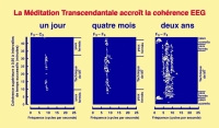 Cohérence EEG